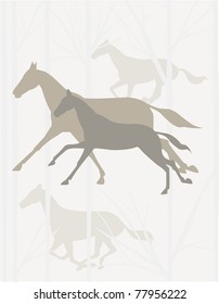 Tonal Horses