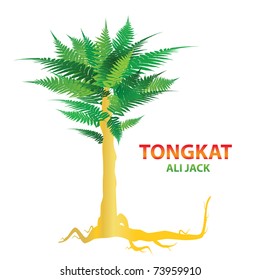 Tongkat Ali - Nature's Sexual Stimulant