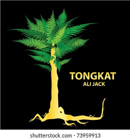 Tongkat Ali - Nature's Sexual Stimulant