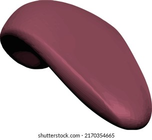 Tongue 3d model human mouth anatomy