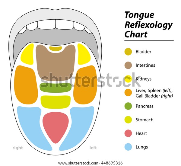 Tongue Diagnosis Chart Download