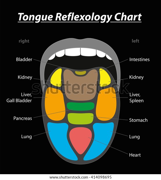 Tongue Diagnosis Chart