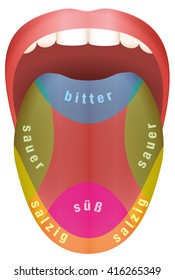 Tongue with four different taste areas - bitter, sweet, sour and salty. GERMAN LANGUAGE! Isolated vector illustration on white background.