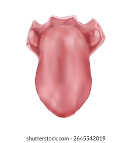 Tongue illustration on white background vol 01
