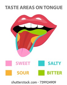 Tongue Map, areas with receptors responsible for taste, flat style. Isolated on white background. sweet, salty, sour, bitter. Vector illustration