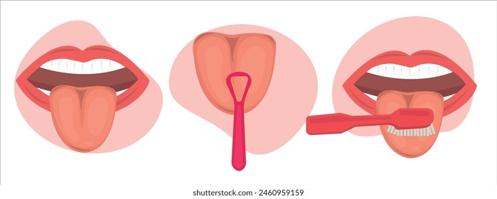 Tongue parts vector set, tongue and mouth cleaning vector illustration