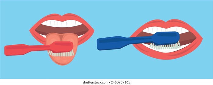 Tongue parts vector set, tongue and mouth cleaning vector illustration