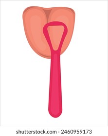Tongue parts vector set, tongue and mouth cleaning vector illustration