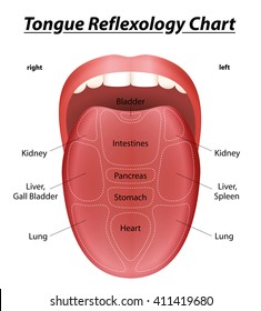Chinese Medicine Tongue Chart