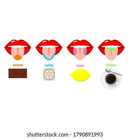Tongue taste areas. Four sections of projection - sweet, salty, sour and bitter  - represented by chocolate, salt, lemon and black coffee. Simple flat vector illustration isolated on white background.