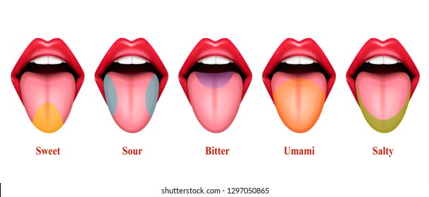 1,582 Tongue Salt Images, Stock Photos & Vectors 