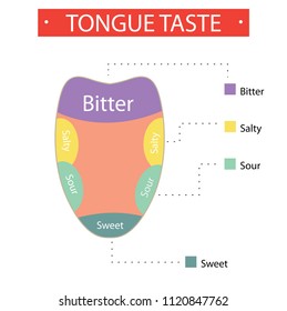 Tongue Taste Education Stock Vector (royalty Free) 1120847762 