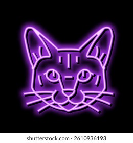 tonkinese cat cute pet neon light sign vector. tonkinese cat cute pet illustration