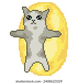 Tonoto cat, viral meme pixel art