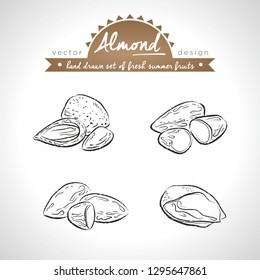Tonsil. Hand drawn collection of vector sketch detailed fresh fruits. Isolated