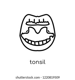 Tonsil icon. Trendy modern flat linear vector Tonsil icon on white background from thin line Human Body Parts collection, editable outline stroke vector illustration