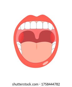 
tonsil  and  
throat illustration, helty images