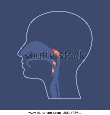 Tonsils and adenoid, cross-section illustration of human head.