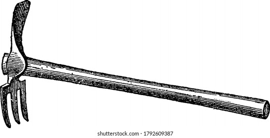 A tool used for breaking up the surface soil, the three-pronged end being used for the looser parts, and the mattock end for breaking clods, vintage line drawing or engraving illustration.