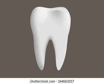 tooth