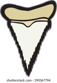 tooth