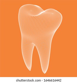 tooth - 3d mesh illustration