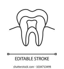 Tooth anatomical structure linear icon. Tooth root and crown. Thin line illustration. Dentin, enamel, pulp. Contour symbol. Vector isolated drawing. Editable stroke