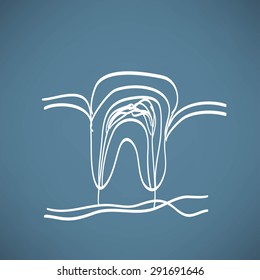tooth anatomy chalk painted on the chalkboard vector illustration