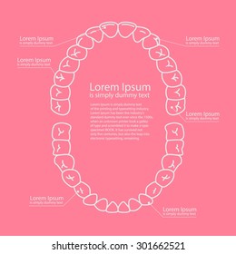 tooth anatomy chart, diagram teeth illustration 