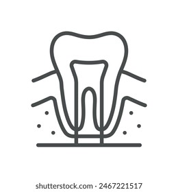 Icono de anatomía dental. Ilustración de línea aislada simple de la anatomía dental humana, que representa la salud dental, la odontología y el cuidado bucal. Perfecto para aplicaciones médicas y sanitarias.