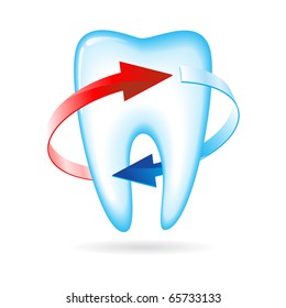 Tooth with arrows. Vector illustration on white