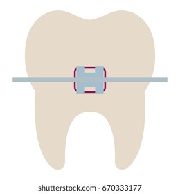 tooth with brakets isolated icon
