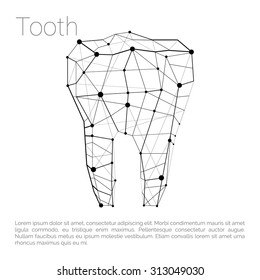 Tooth Carcass Polygonal Geometric Part of Body