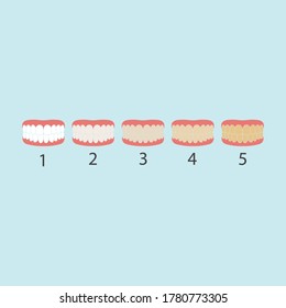 tooth color level vector illustration design