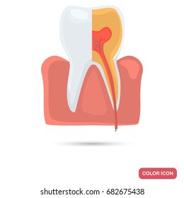 Tooth in a cut color flat icon for web and mobile design