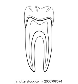 Tooth cut line drawing on white isolated background