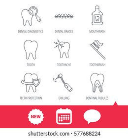 Tooth, dental braces and mouthwash icons. Diagnostics, toothbrush and toothache linear signs. Dentinal tubules, protection flat line icons. New tag, speech bubble and calendar web icons. Vector