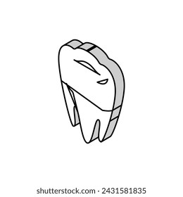 tooth dental care isometric icon vector. tooth dental care sign. isolated symbol illustration