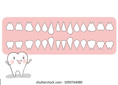 tooth with dental concept on the white background