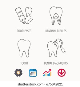 Tooth, dental diagnostics and toothpaste icons. Dentinal tubules linear sign. Calendar, Graph chart and Cogwheel signs. Download colored web icon. Vector
