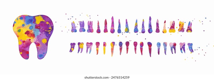 Tooth and Dental Row. Vector colorful watercolor illustration