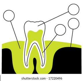 Tooth Diagram Illustration