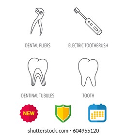Tooth, electric toothbrush and pliers icons. Dentinal tubules linear sign. Shield protection, calendar and new tag web icons. Vector