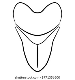 Tooth of extinct prehistoric shark Megalodon. Black and white linear silhouette.