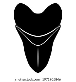 Tooth of extinct prehistoric shark Megalodon. Black and white silhouette.