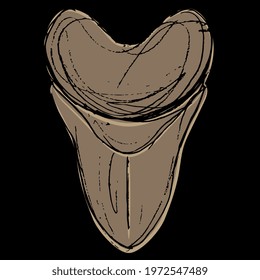 Tooth of extinct prehistoric shark Megalodon. Hand drawn colorful rough sketch. On black background.