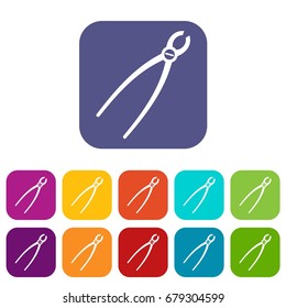 Tooth extraction instrument icons set vector illustration in flat style In colors red, blue, green and other