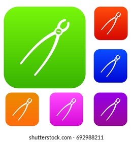 Tooth extraction instrument set icon in different colors isolated vector illustration. Premium collection