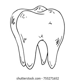 A Tooth With Four Roots. Tooth Molar. Vector Illustration.