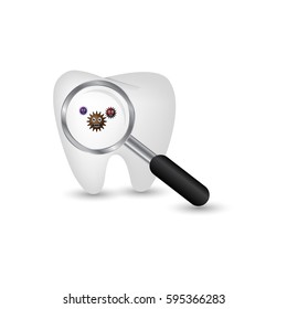 tooth germ seen with magnifying glass
